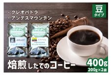 焙煎したてのコーヒー豆 2袋 (クレオパトラ・アンデスマウンテン)【豆】[0343]
