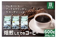 焙煎したてのコーヒー豆 3袋 (クレオパトラ・アンデスマウンテン・ラ カンデリージャ)【豆】[0346]
