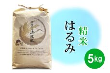 令和6年産 伊勢原の米「はるみ」5kg 精米済｜米 お米 伊勢原 はるみ 令和6年産 精米 いせはらVILLAGE [0284]