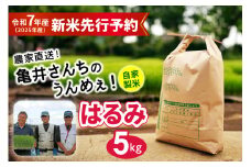 新米 [令和7年産] 伊勢原産 精米 5kg はるみ 農家直送！亀井さんちのうんめぇ！自家製米｜お米 おこめ コメ 白米 神奈川 伊勢原 ブランド米 2025年 産地直送 先行予約 予約受付 [0355]