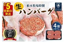 柏木牧場特製 生ハンバーグ 160g×4個 [国産牛100%] ジュワッと肉汁まで美味い！(冷蔵配送)｜国産 ハンバーグ 冷蔵 グルメ ギフト お惣菜 惣菜 [0354]
