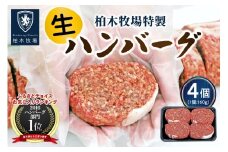 柏木牧場特製 生ハンバーグ 160g×4個 [国産牛100%] ジュワッと肉汁まで美味い！(冷蔵配送)｜国産 ハンバーグ 冷蔵 グルメ ギフト お惣菜 惣菜 [0354]