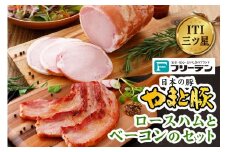 フリーデン やまと豚 ロースハムとベーコンのセット｜ロースハム ベーコン ベーコンブロック [0368]