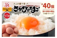 坂本養鶏 大山の麓で育った さかもとのたまご 40個 (36個＋割れ保証4個)｜伊勢原市 赤玉卵 玉子 鶏卵 生卵 国産 TKG タマゴ 新鮮 大山 鶏 ギフト 安心 安全 親子丼 卵焼き 目玉焼き お菓子 [0385b]