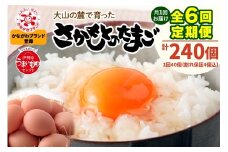 [定期便／6ヶ月] 月1回 さかもとのたまご 40個 (36個＋割れ保証4個) 合計240個｜坂本養鶏 大山の麓で育ったさかもとのたまご 赤玉卵 玉子 鶏卵 伊勢原市 赤玉卵 玉子 生卵 国産 TKG タマゴ 新鮮 大山 鶏 ギフト 安心 安全 親子丼 卵焼き 目玉焼き お菓子[0390b]