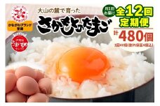 [定期便／12ヶ月] 月1回 さかもとのたまご 40個 (36個＋割れ保証4個) 合計480個｜坂本養鶏 大山の麓で育ったさかもとのたまご 赤玉卵 玉子 鶏卵 伊勢原市 赤玉卵 玉子 生卵 国産 TKG タマゴ 新鮮 大山 鶏 ギフト 安心 安全 親子丼 卵焼き 目玉焼き お菓子 [0391b]