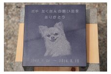 《成瀬石材店》ペットのお墓セット (石のメモリアルプレート) [0434]