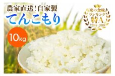 新米 [令和7年産] 伊勢原産 精米10kg(5kg×2袋) てんこもり 農家直送！加藤さんちのうんめぇ！自家製米｜先行予約 お米 おこめ コメ 白米 神奈川 伊勢原 [0527]