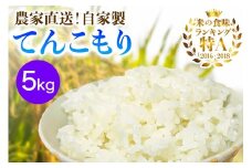 新米 [令和7年産] 伊勢原産 精米5kg てんこもり 農家直送！加藤さんちのうんめぇ！自家製米｜先行予約 お米 おこめ コメ 白米 神奈川 伊勢原 [0526]
