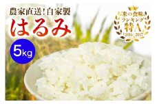 新米 [令和7年産] 伊勢原産 精米5kg はるみ 農家直送！加藤さんちのうんめぇ！自家製米 ｜先行予約 お米 おこめ コメ 白米 神奈川 伊勢原 ブランド米 [0523]