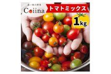 [2025年12月下旬より発送] Coiinaトマトミックス 厳選！詰め合わせセット 1kg｜コイイナ コイーナ 濃い味 ブランドトマト リコピン アイメック栽培 甘い 旨い 食感が良い [0670]