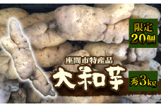 座間市特産品　大和芋　秀　3kg｜贈答品 とろろいも とろろ芋 山芋とろろ やまいも やまといも
※2022年12月上旬～2023年1月下旬頃に順次発送予定