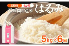 【定期便】6か月 座間市産米 はるみ5kg×6回 ※離島への配送不可 ※2025年10月下旬頃より順次発送予定