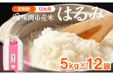 【定期便】12か月 座間市産米 はるみ5kg×12回 ※離島への配送不可 ※2025年10月下旬頃より順次発送予定