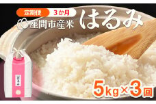 【定期便】3か月 座間市産米 はるみ5kg×3回 ※離島への配送不可 ※2025年10月下旬頃より順次発送予定