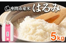 座間市産米 はるみ 5kg ※離島への配送不可 ※2025年10月下旬頃より順次発送予定