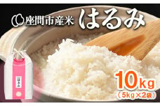 はるみ 10kg(5kg×2袋) ※離島への配送不可 ※2025年10月下旬頃より順次発送予定