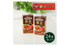 守山乳業 ＭＯＲＩＹＡＭＡ １日分の鉄分ココア １２５ｍｌ×２４本 ココア 鉄分 ふるさと納税【パック カカオ 高級 ココア飲料 ドリンク 濃厚 おいしい ギフト チョコレートドリンク 神奈川県 南足柄市 】