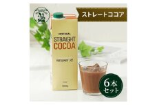 守山乳業 ＭＯＲＩＹＡＭＡ　ストレートココア（口栓付）　１０００ｇ×６本【 カカオ 高級 ココア飲料 ドリンク 濃厚 おいしい ギフト チョコレートドリンク 飲料 ギフト プレゼント 贈り物 お返し おいしい まとめ買い 神奈川県 南足柄市 】
