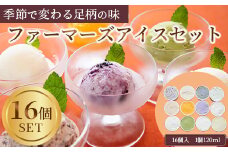 まつが農園アイスクリームギフト16個入り アイスクリーム【果物 フルーツ 旬 食品添加物不使用 アイス ギフト プレゼント 贈り物 おいしい お祝い 誕生日 神奈川県 南足柄市 】