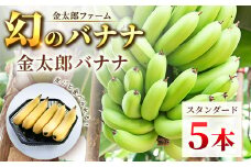 南足柄産国産バナナ スタンダード（栽培期間中農薬不使用）5本セット【ギフト プレゼント 贈り物 お返し おいしい 金太郎バナナ 果物 くだもの フルーツ お歳暮 お中元 神奈川県 南足柄市 】