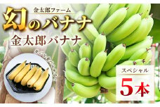 南足柄産国産バナナ スペシャル(栽培期間中農薬不使用）5本セット【ギフト プレゼント 贈り物 お返し おいしい 金太郎バナナ 果物 くだもの フルーツ お歳暮 お中元 神奈川県 南足柄市 】