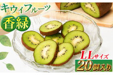  希少キウイフルーツ 「香緑」。LLサイズ 20個入り 糖度16度。甘くておいしい＜出荷時期：2025年12月15日出荷開始～2026年1月15日出荷終了＞【キウイ　フルーツ 神奈川県 南足柄市 】