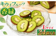 ★レビューキャンペーン実施中★希少キウイフルーツ 「香緑」。Lサイズ 24個入り 糖度16度。甘くておいしい【 高級ブランド】＜出荷時期：2025年12月15日出荷開始～2026年1月15日出荷終了＞【キウイ　フルーツ 神奈川県 南足柄市 】