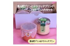 薫る野プリン&テラコッタプリン6個セット〔3個×2種〕 おすすめの2種類のプリンセット 【 プリン スイーツ お菓子 神奈川県 南足柄市 】