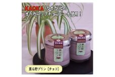★レビューキャンペーン実施中★薫る野プリン プレミアムチョコプリン 6個 【 プリン スイーツ お菓子 神奈川県 南足柄市 】