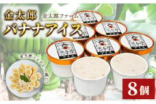 金太郎バナナアイス（8個） 栽培期間中農薬不使用 【国産 ギフト プレゼント 贈り物 お返し おいしい 果物 くだもの フルーツ お歳暮 お中元 】