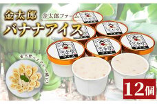 金太郎バナナアイス（12個） 栽培期間中農薬不使用 【国産 ギフト プレゼント 贈り物 お返し おいしい 果物 くだもの フルーツ お歳暮 お中元 】