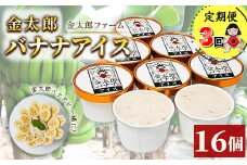 定期便：金太郎バナナアイス（48個）：16個×3回（毎月お届け） 栽培期間中農薬不使用 【国産 ギフト プレゼント 贈り物 お返し おいしい 果物 くだもの フルーツ お歳暮 お中元 】
