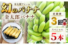 定期便：スペシャル 金太郎バナナ（15本）  5本×3回（毎月お届け） 栽培期間中農薬不使用 【国産 ギフト プレゼント 贈り物 お返し おいしい 金太郎バナナ 果物 くだもの フルーツ お歳暮 お中元 】
