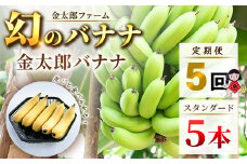 ★レビューキャンペーン実施中★定期便：スタンダード 金太郎バナナ（25本）  5本×5回（毎月お届け） 栽培期間中農薬不使用 【国産 ギフト プレゼント 贈り物 お返し おいしい 金太郎バナナ 果物 くだもの フルーツ お歳暮 お中元 】