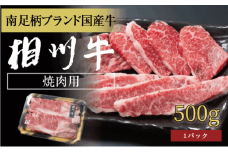 相州牛 焼肉・網焼き用カルビ　500g（厚切り） 【 牛肉 お肉 ブランド牛 神奈川県 南足柄市 】