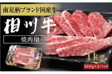 相州牛 焼肉・網焼き用カルビ　1.0kg（厚切り） 【 牛肉 お肉 ブランド牛 神奈川県 南足柄市 】