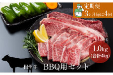 【定期便：3ヶ月毎に4回】相州牛（BBQ用セット）1.0kg 【合計4kg】 【 牛肉 お肉 ブランド牛 神奈川県 南足柄市 】