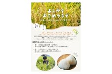 【体験日　10月11日・12月20日】　家族みんなで地域体験！あしがらおこめクラブ　秋のお米の収穫＆冬の餅つき・味噌づくり 体験チケット【 利用券 神奈川県 南足柄市 】