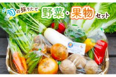 野菜セット 旬の採りたて 野菜 フルーツ 詰め合わせ セット 野菜詰め合わせ フルーツ詰め合わせ フルーツセット 季節の野菜 季節の果物 くだもの 果物 果樹 神奈川
