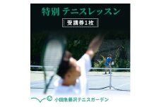 小田急藤沢テニスガーデン 特別テニスレッスン受講券1枚 テニス スクール レッスン チケット 券 受講券 施設利用券 小田急ゴルフクラブ 関東 綾瀬市