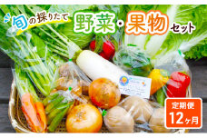 野菜セット 定期便 12ヶ月 旬の採りたて 野菜 フルーツ 詰め合わせ セット 野菜定期便 野菜詰め合わせ フルーツ詰め合わせ フルーツセット 季節の野菜 季節の果物 くだもの 果物 果樹 神奈川 定期 お楽しみ 12回