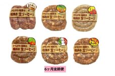 ソーセージ 定期便 6ヶ月 かながわ綾瀬 粗挽き 生ソーセージ 6種 セット 肉 お肉 豚肉 加工品 惣菜 おかず 詰め合わせ 冷凍 アウトドア バーベキュー キャンプ BBQ お酒のつまみ ウインナー 6回 定期