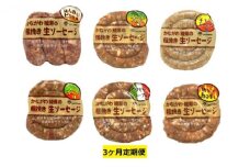 ソーセージ 定期便 3ヶ月 かながわ綾瀬 粗挽き 生ソーセージ 6種 セット 肉 お肉 豚肉 加工品 惣菜 おかず 詰め合わせ 冷凍 アウトドア バーベキュー キャンプ BBQ お酒のつまみ ウィンナー ウインナー 3回 定期ス