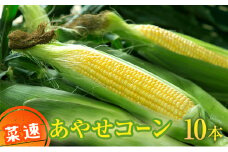 新鮮朝採り 「菜速　あやせコーン®」