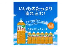 麦茶 定期便 3ヶ月 GREEN DA・KA・RA やさしい麦茶 2L × 6本 サントリー ペットボトル 茶 お茶 飲料 飲み物 ドリンク 備蓄 常温 常温保存 カフェイン ゼロ カロリーゼロ 大麦 赤ちゃん 熱中症 熱中症対策 アレルギー DAKARA 定期 3回　定期便