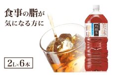 サントリー烏龍茶OTPP（機能性表示食品）2L×6本 ペットボトル