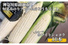 とうもろこし 旬菜みのりファーム あま～い ホワイトショコラ 10本  