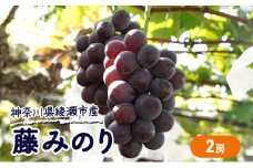 大玉 高級品種ぶどう 藤みのり 2房 ぶどう 藤稔 神奈川県 綾瀬市産 果物 フルーツ 最高級 品質 甘い 産地直送 果汁 贈り物 ギフト