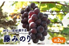 大玉 高級品種ぶどう 藤みのり 約2kg ぶどう 藤稔 神奈川県 綾瀬市産 果物 フルーツ 最高級 品質 甘い 産地直送 果汁 贈り物 ギフト